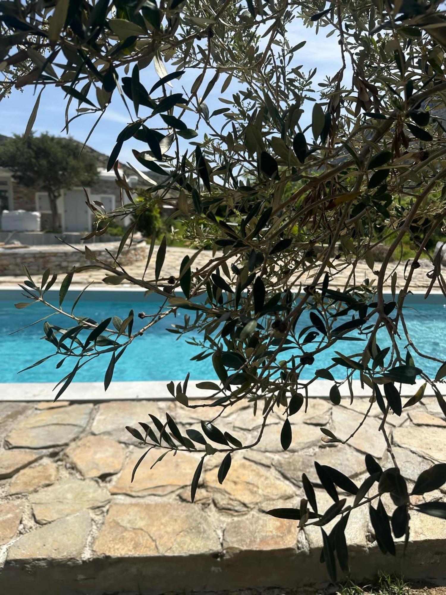 Villa River With Pool Kamares  Exterior photo